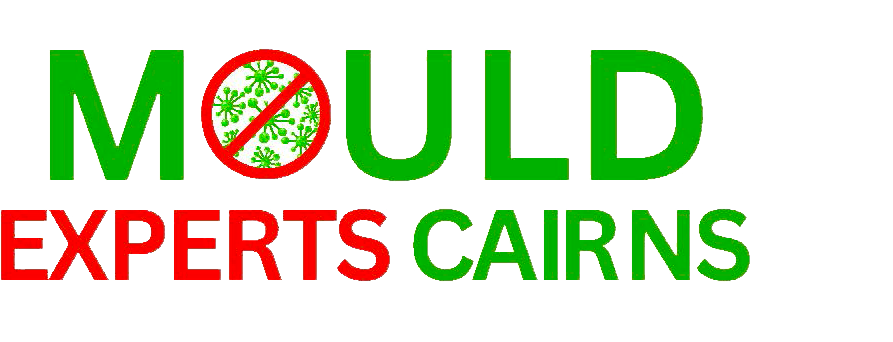 Mould Experts Cairns logo
